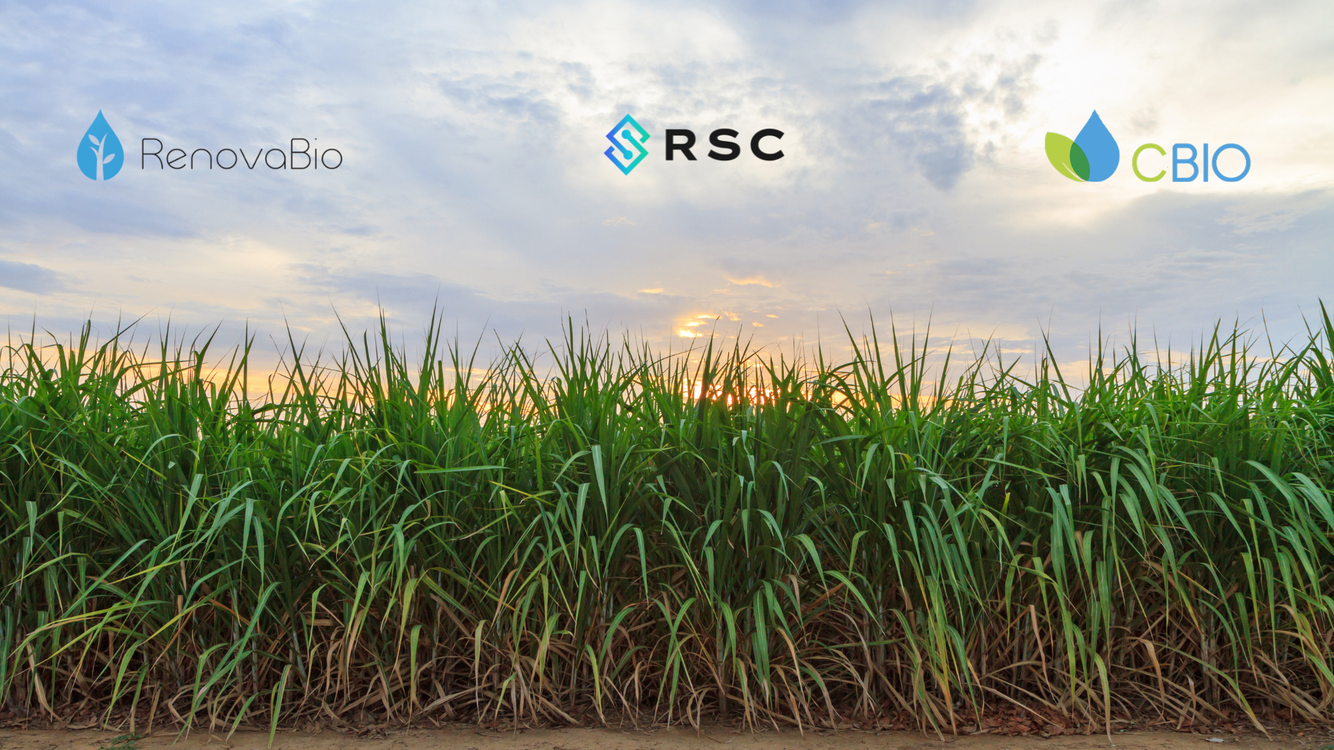Cbios e vinhaça no programa RenovaBio para usinas sucroenergéticas